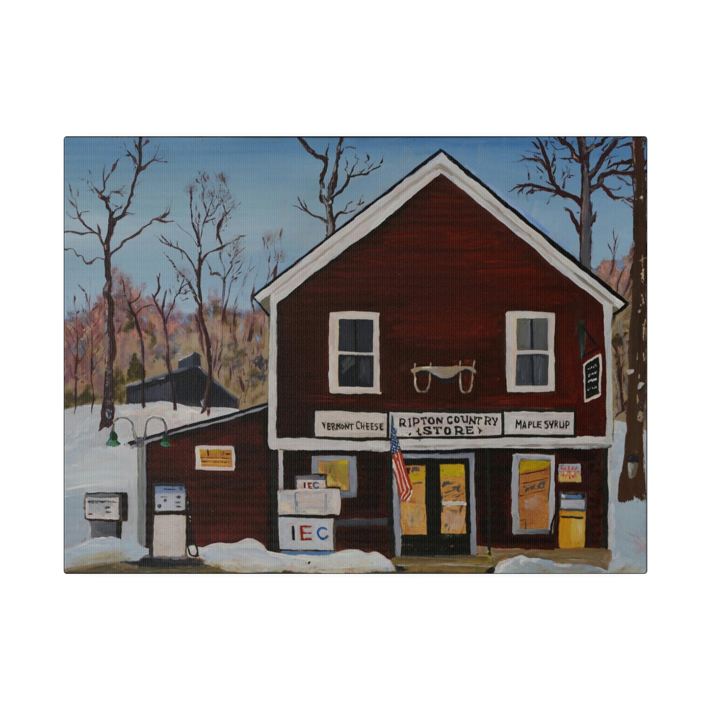 Ripton IEC - Matte Canvas, Stretched, 0.75"