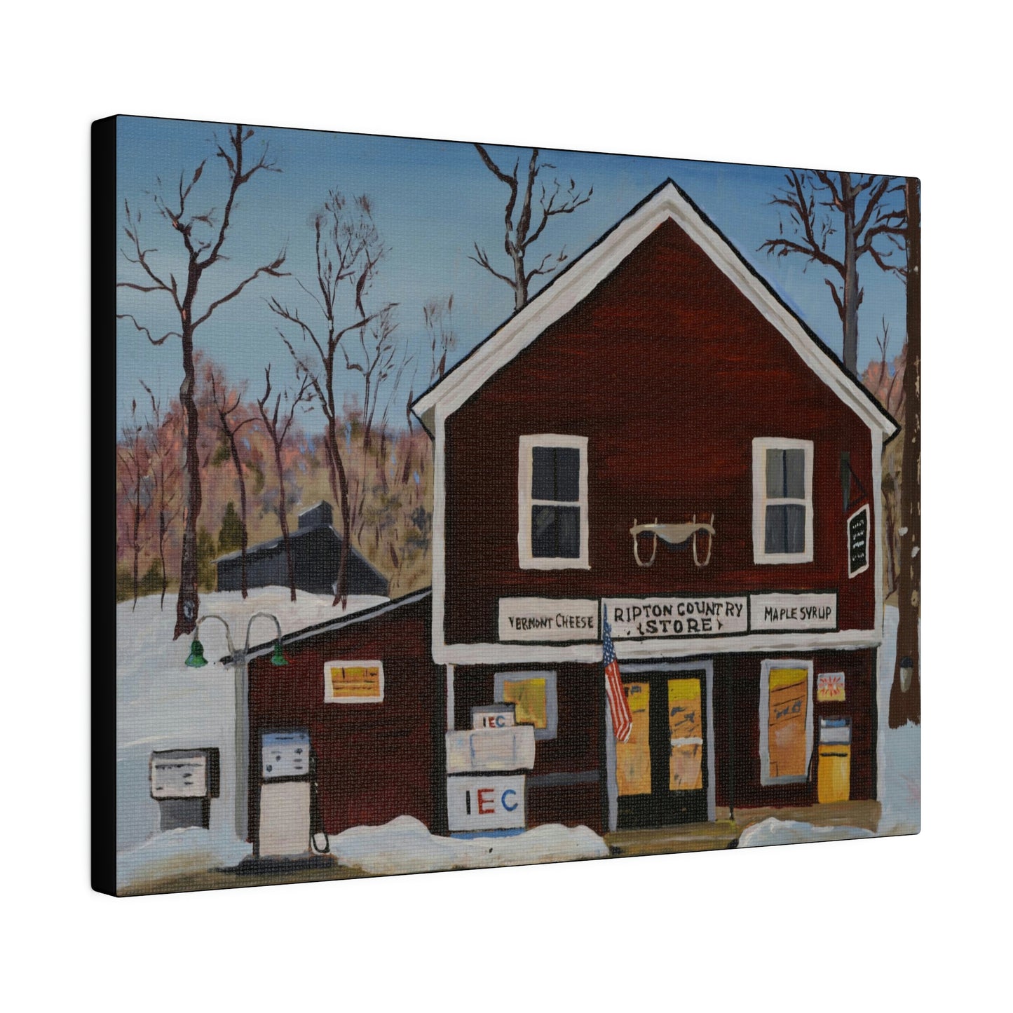 Ripton IEC - Matte Canvas, Stretched, 0.75"