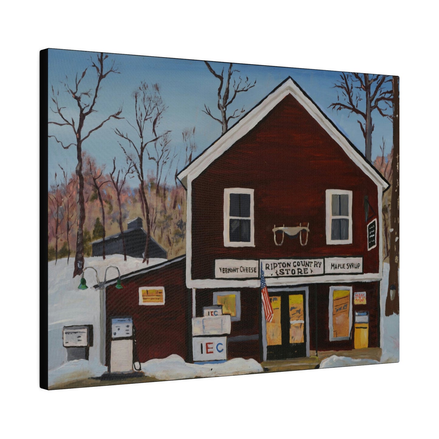 Ripton IEC - Matte Canvas, Stretched, 0.75"