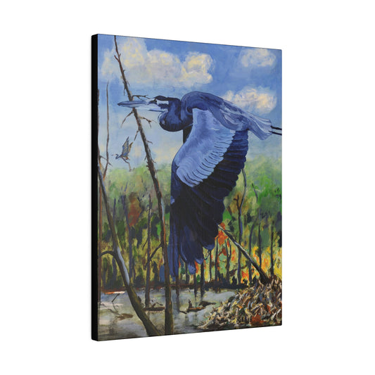 Blue Heron - Matte Canvas, Stretched, 0.75"