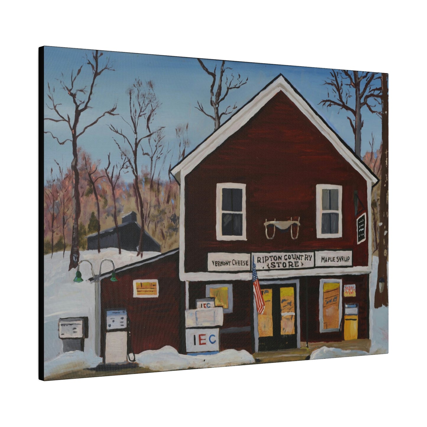 Ripton IEC - Matte Canvas, Stretched, 0.75"