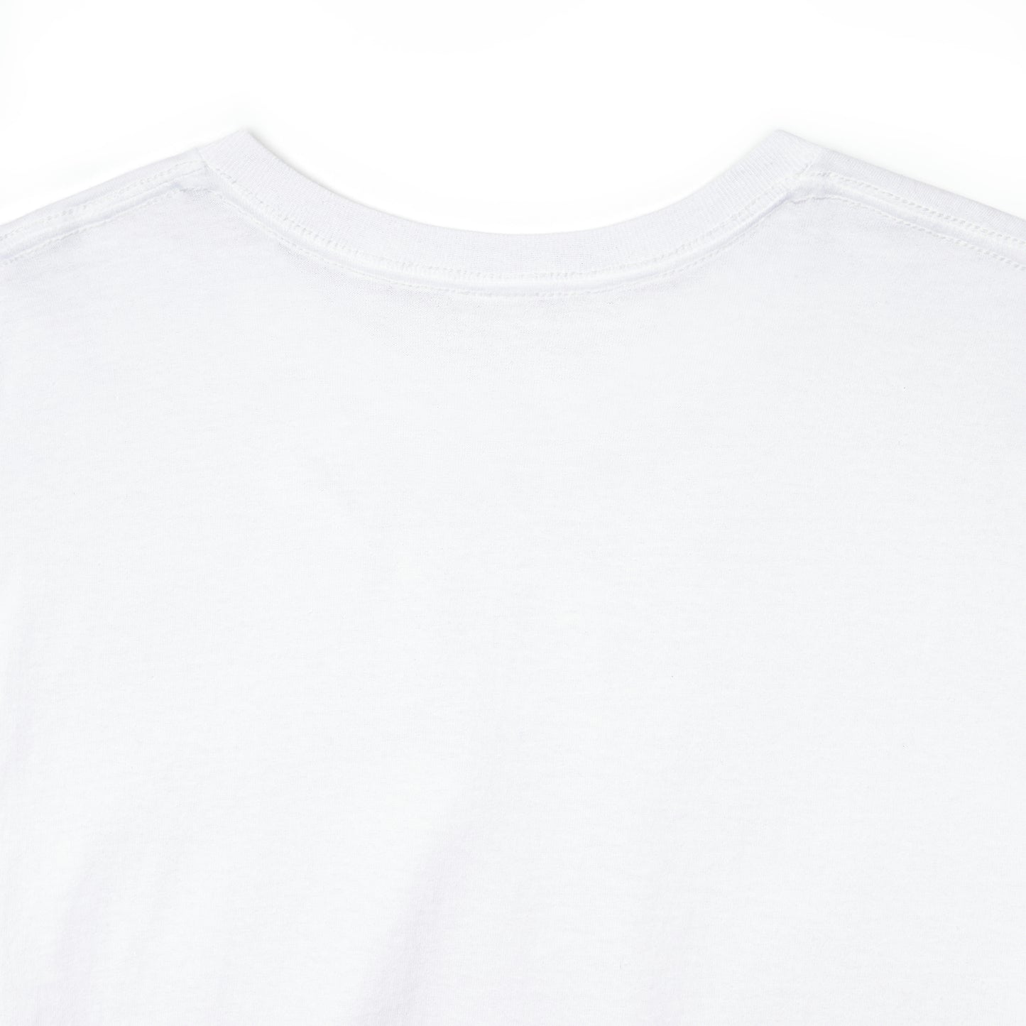 Ripton IEC - Unisex Heavy Cotton Tee