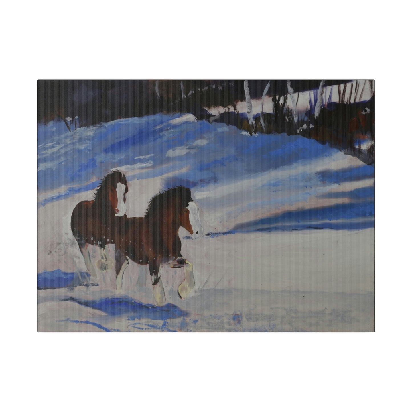 Clydes in Snow - Matte Canvas, Stretched, 0.75"