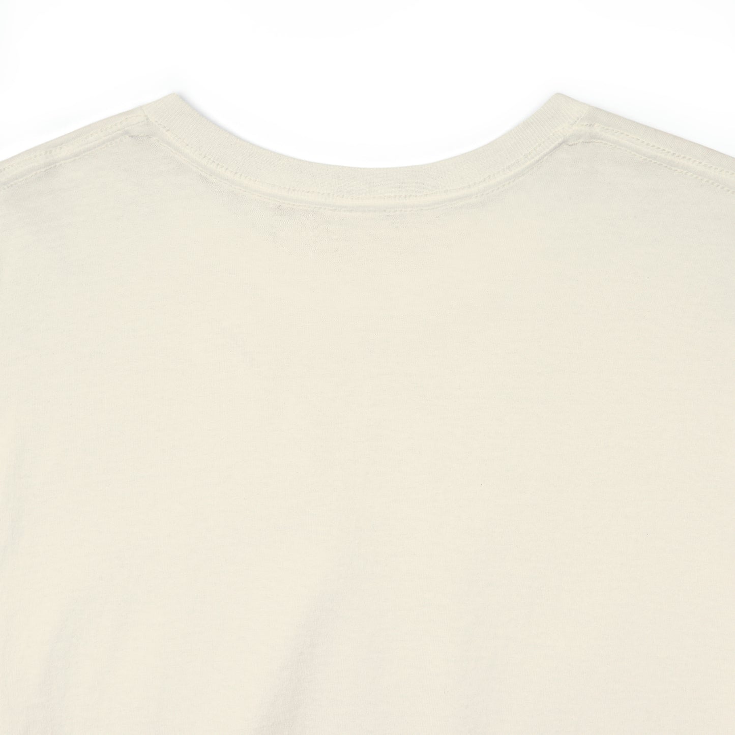 Ripton IEC - Unisex Heavy Cotton Tee