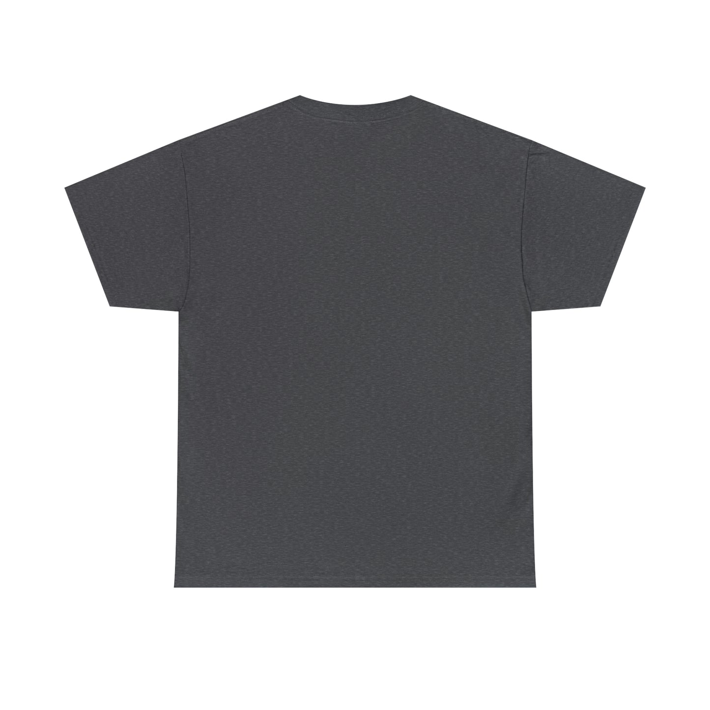 Ripton IEC - Unisex Heavy Cotton Tee