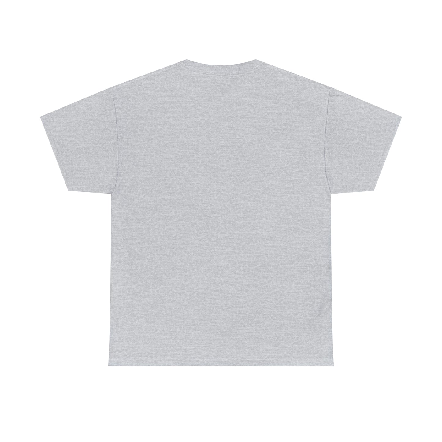 Ripton IEC - Unisex Heavy Cotton Tee