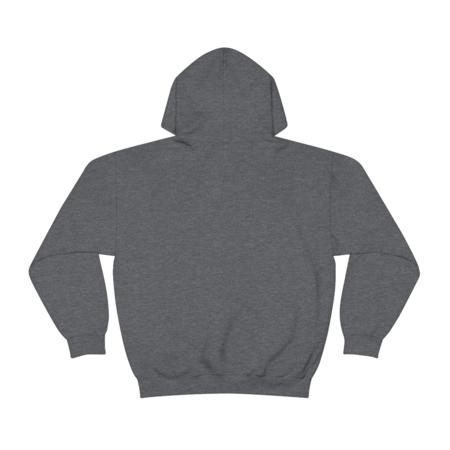 Ripton IEC - Unisex Heavy Blend™ Hooded Sweatshirt