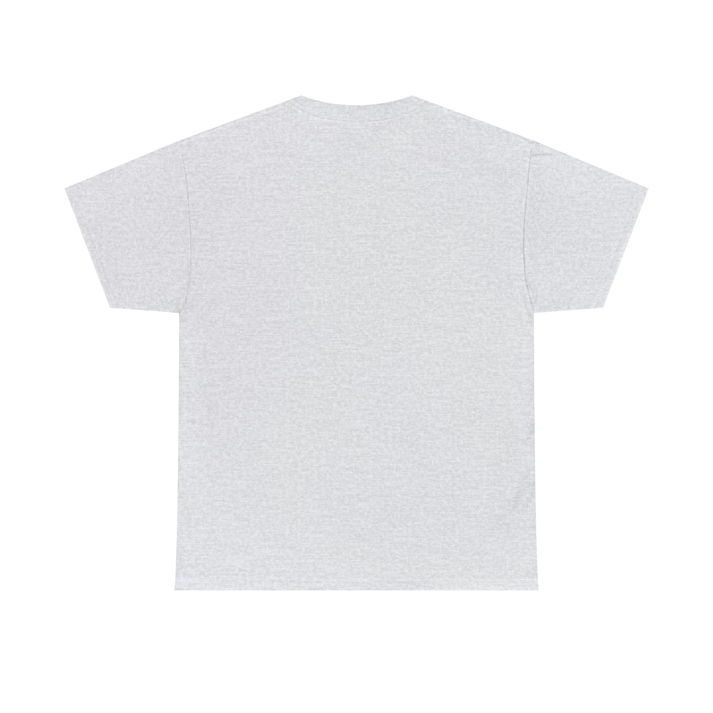 Ripton IEC - Unisex Heavy Cotton Tee