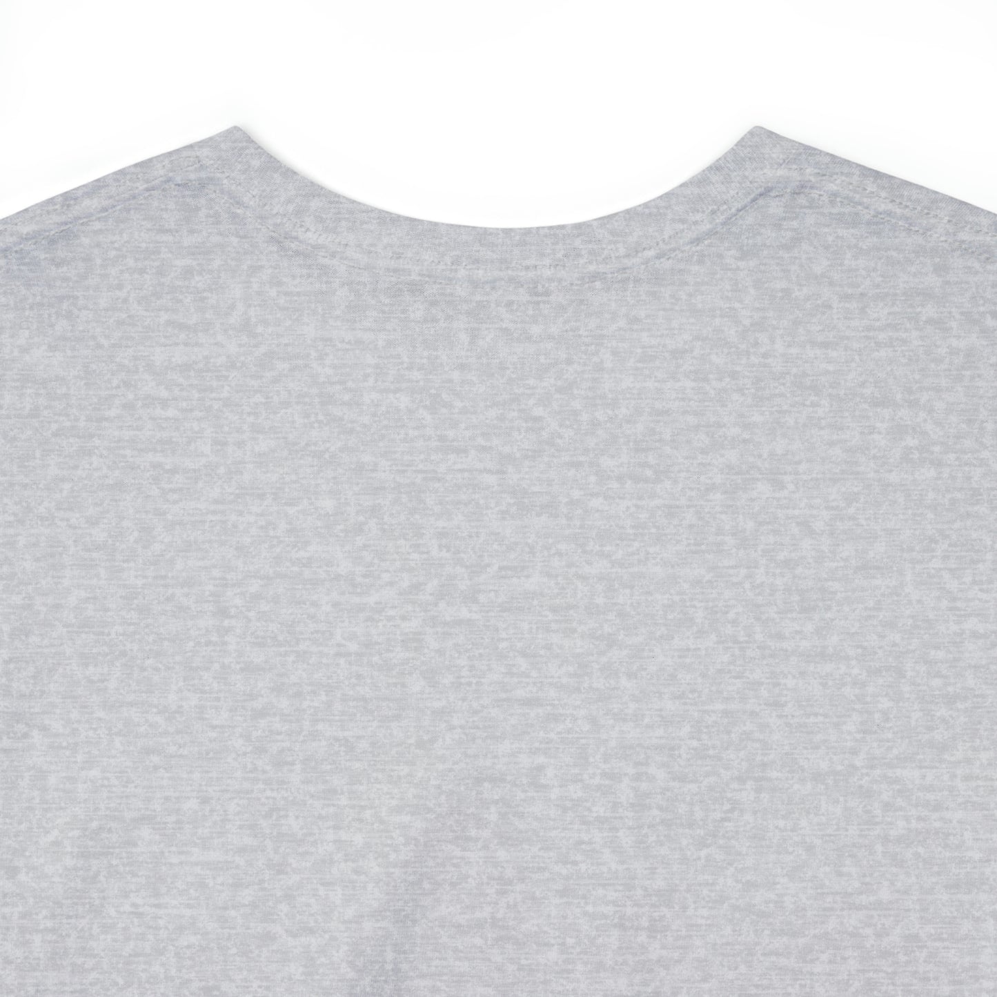 Ripton IEC - Unisex Heavy Cotton Tee